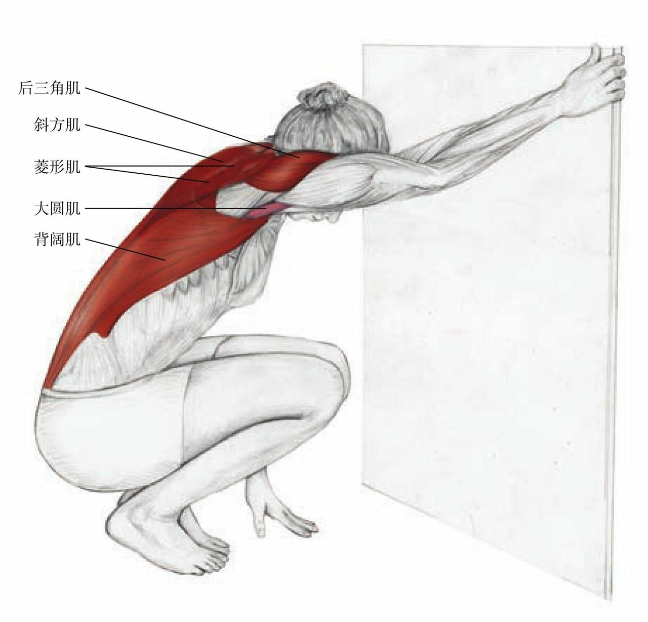 背部筋膜炎怎样锻炼可以缓解疼痛,患有背部筋膜炎吃啥药好得快