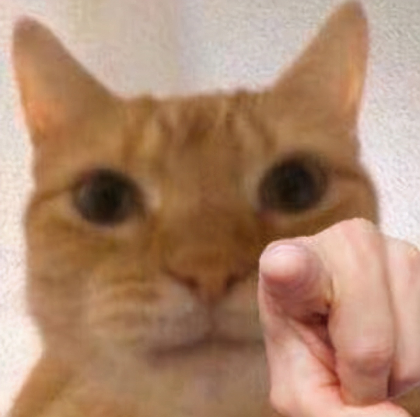 被意大利人骂了这么多年，原来是冤枉的丨互联网冲浪手册