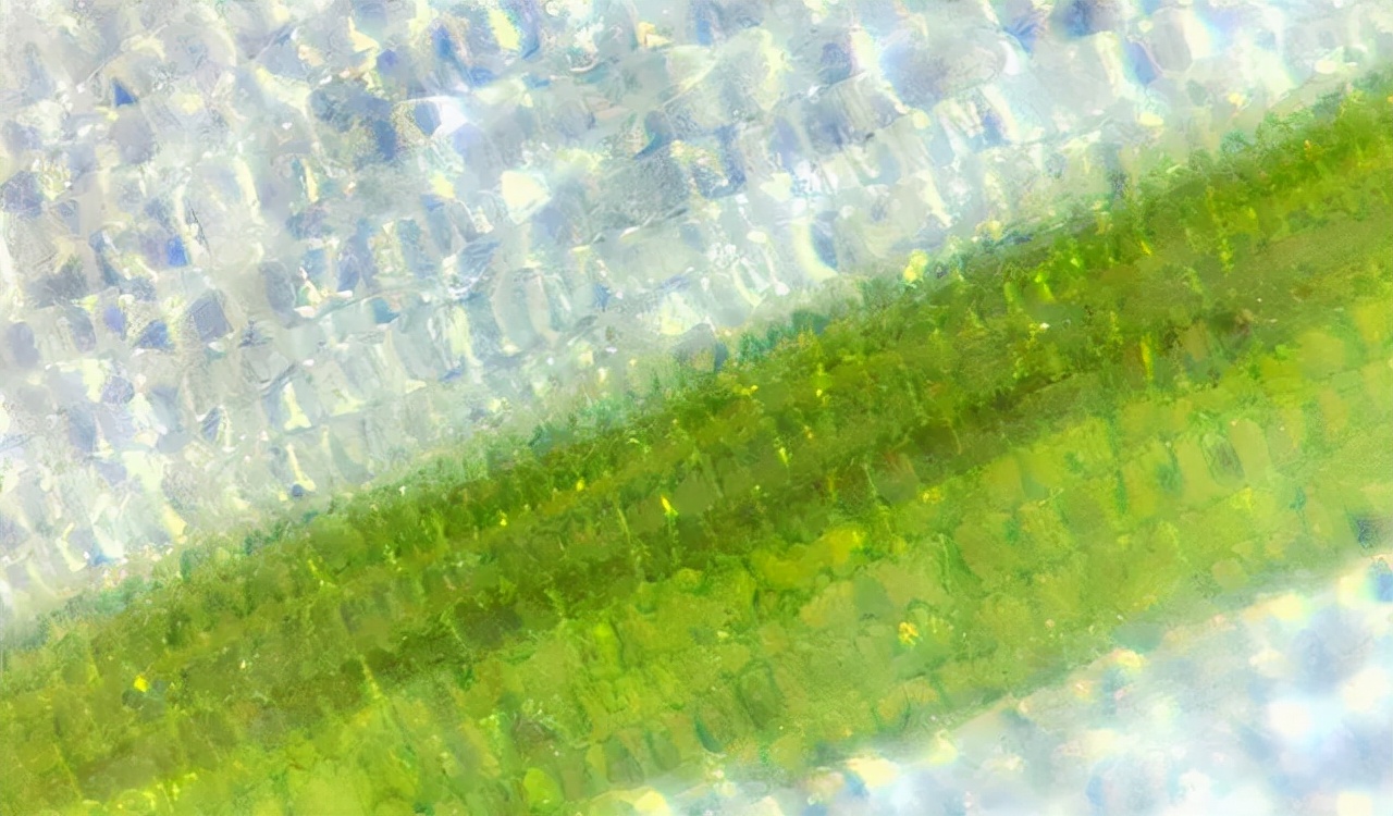 巴掌大的儿童显微镜，竟是NASA空间站望远镜的“弟弟”？