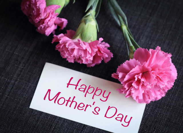 丰乳肥臀｜一本献给天下所有母亲的书