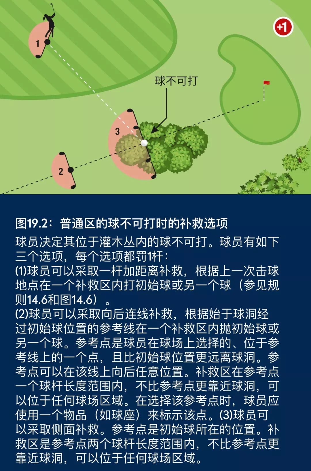 揭秘高尔夫内部,高尔夫最新政策