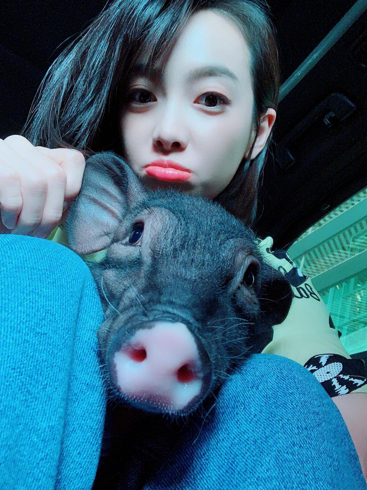 狗生巅峰!陈伟霆家狗狗被抱着睡住湖景豪宅,宋茜家宠物猪更时髦