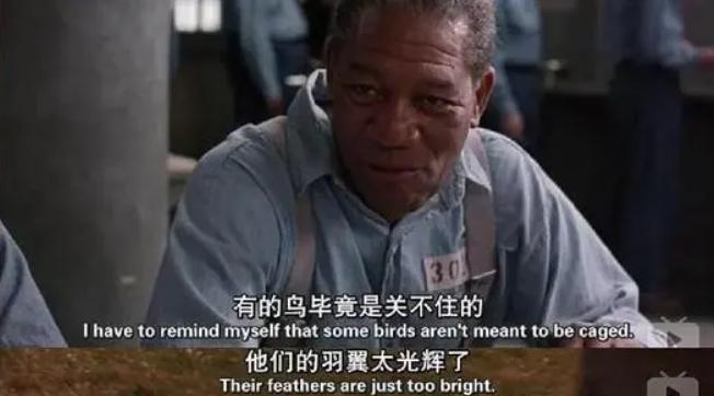 人生必看的9部电影,人生必看10部电影