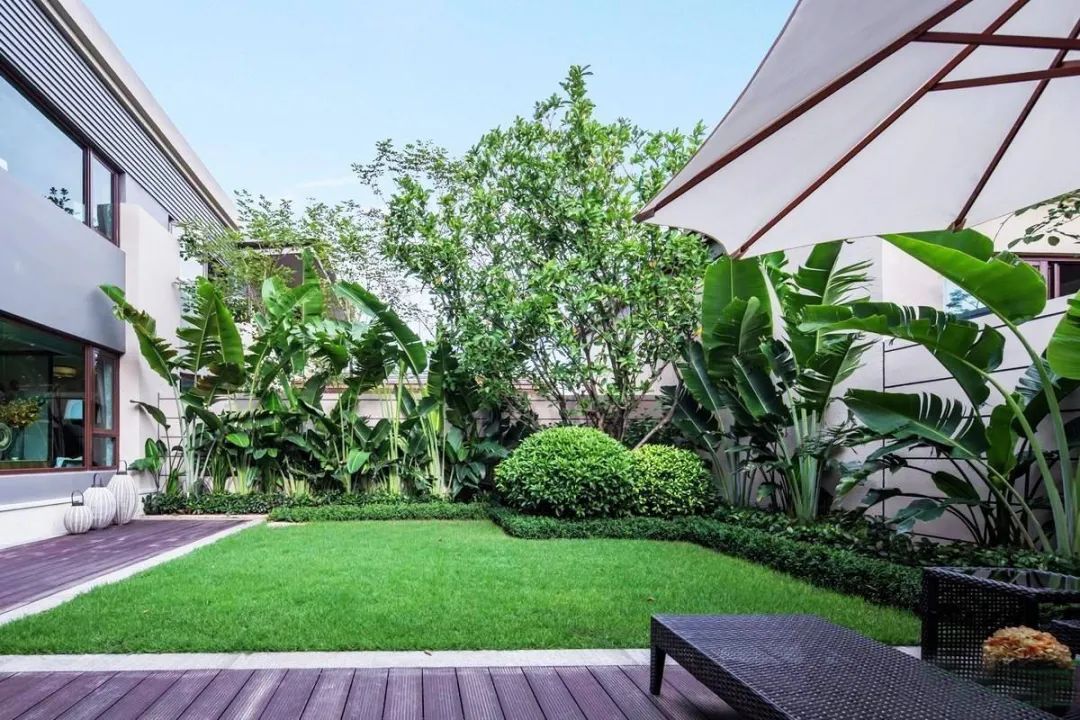 精心打理草坪,草坪该如何养护管理