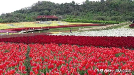 四川最适合养老的小镇,四川养老县城