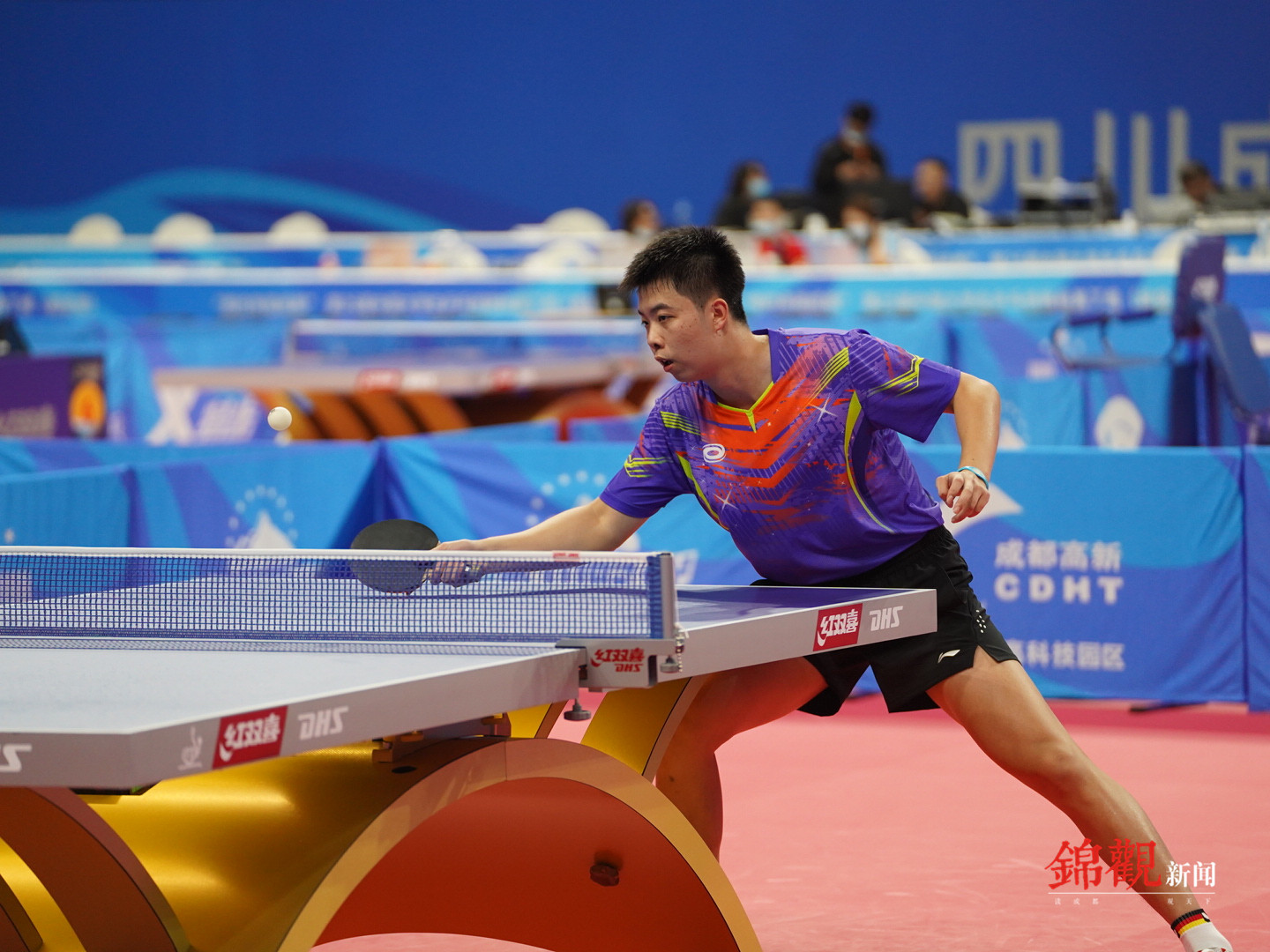 成都体育学院金牌,成都体育学院出了哪些冠军