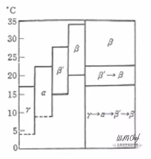 巧克力最全科普指南吃透,巧克力知识大全及答案
