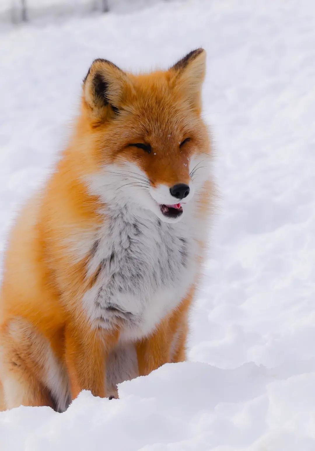 五一连休五天！来象山，与山海相聚，小众景点带你放肆嗨~