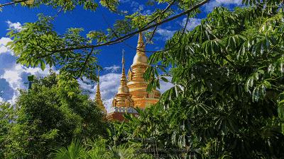 每个人心中都有一个西双版纳,西双版纳最吸引你的是什么