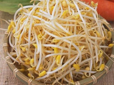 小小豆芽菜，是郑和船队战胜败血症的大功臣