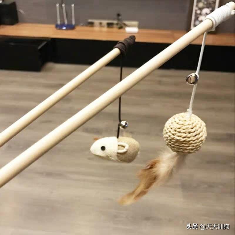 狗狗玩具哪些对狗狗好,狗狗喜爱的玩具大盘点