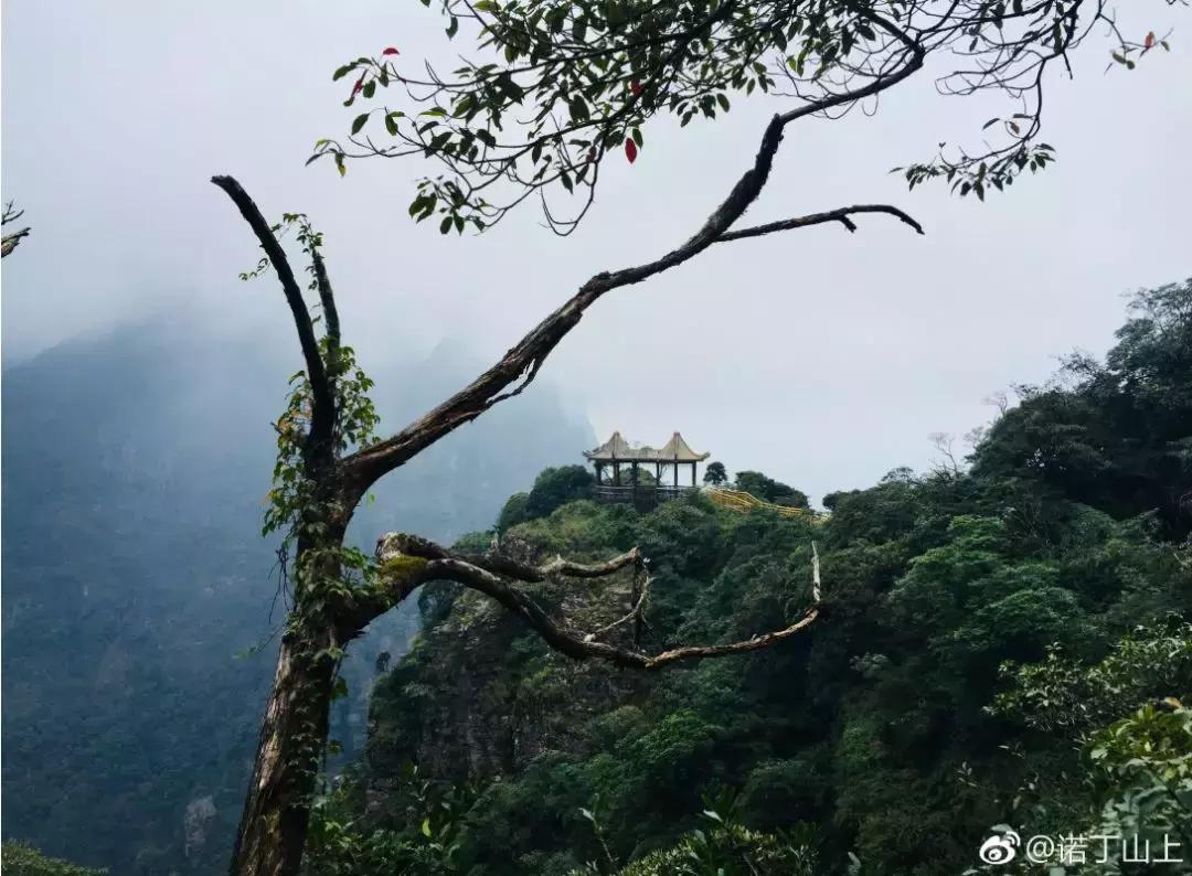 成都坐动车直达这片原始秘境！深幽峡谷、云海奇观、罕见古村…带你逃离夏天！