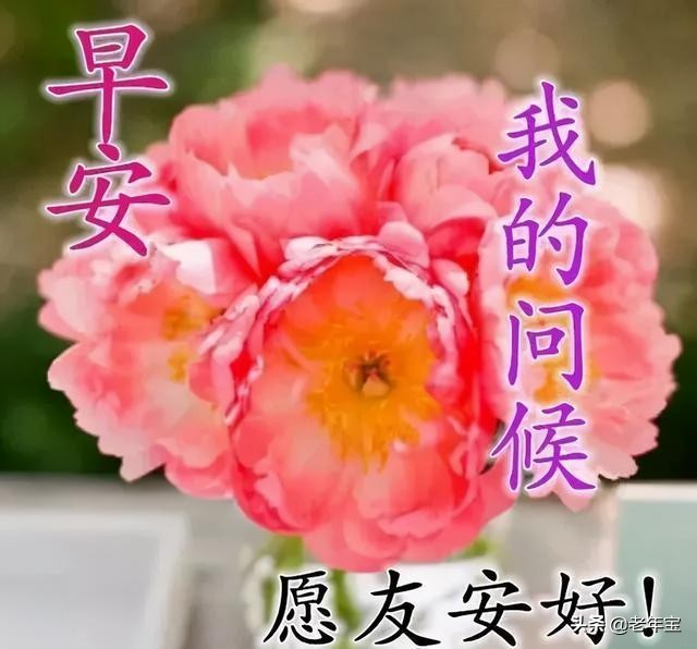 周一早安问候语表情,周一早上好问候语表情