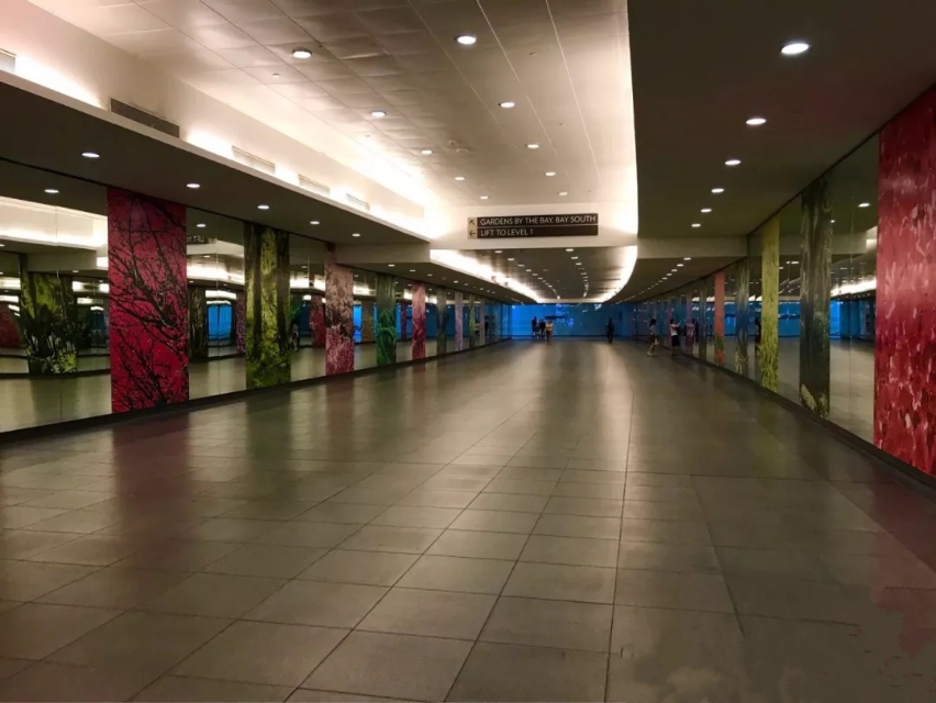 我与几个姐妹顺利的被评为优质，得到了单位出国旅游的资格...