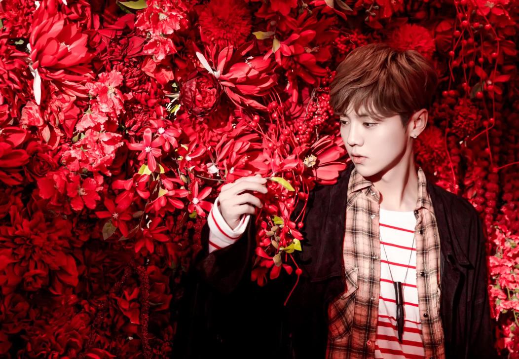 鹿晗有多朴实,娱乐圈最爷们儿的男人鹿晗