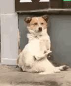 企业起名十大要点,企业起名有意思的