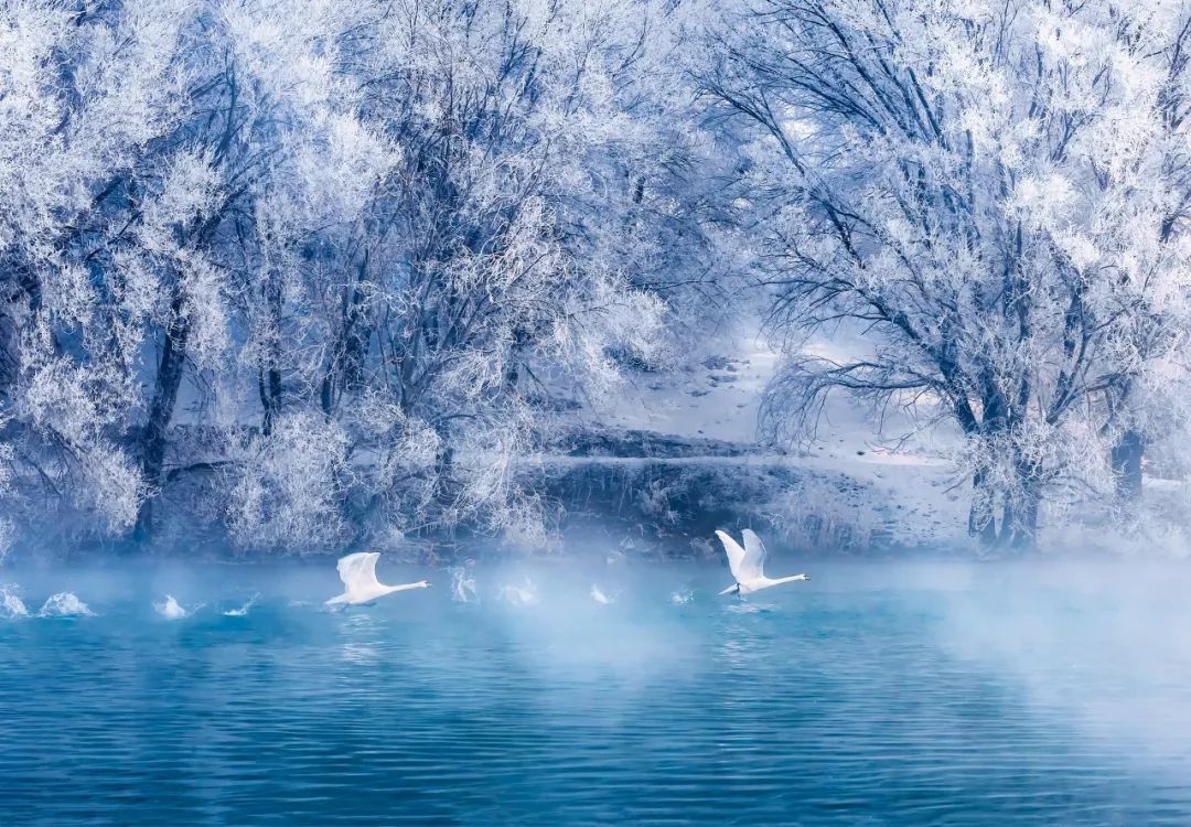 12月份中国值得旅游的地方,冬天最美的旅游地方