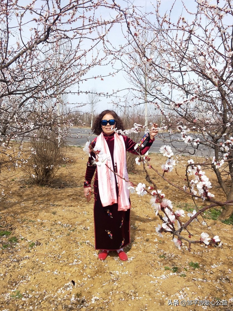 邹平黛溪张高杏花节直播,张高杏花节开幕式完整版