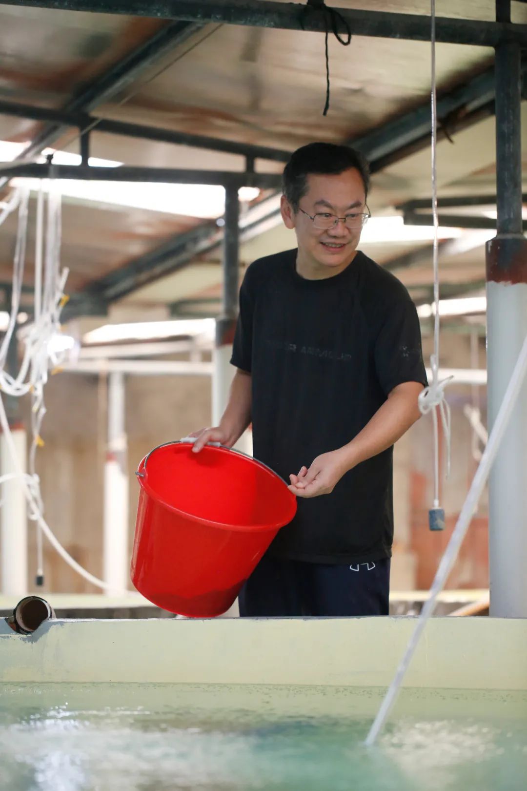 珍珠龙胆石斑鱼苗用鱼初乳种苗料效果探究