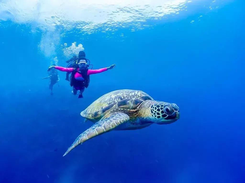 美娜多直飞中国哪里,美娜多到广州航班
