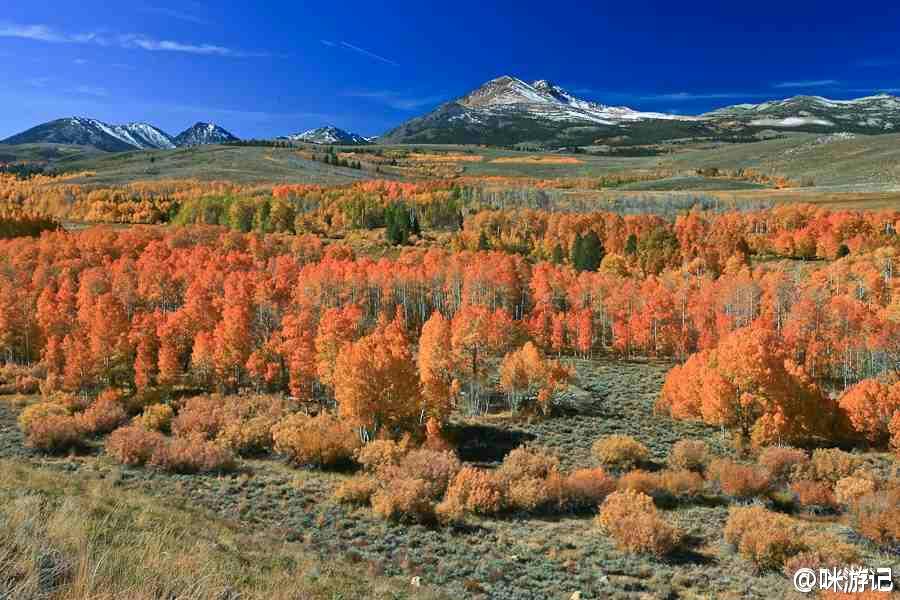 加州十大景观自驾线路,加州景点打卡攻略大全