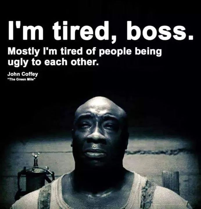 豆瓣平均评分8.8的8部神作,豆瓣8.8高分0差评神片