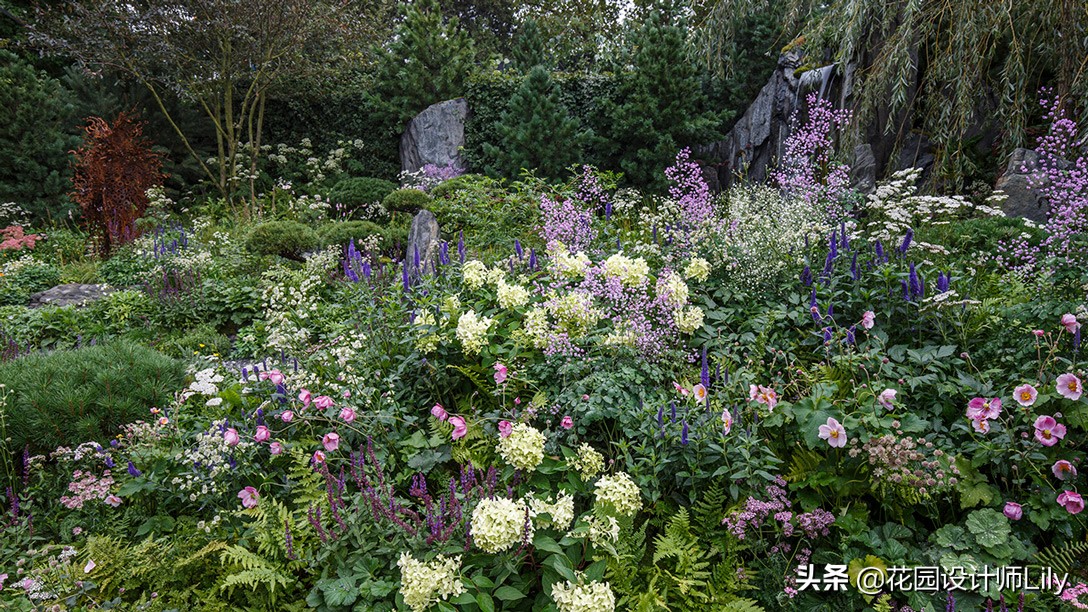 2023年切尔西花展各个花园的介绍,切尔西花展最佳花园