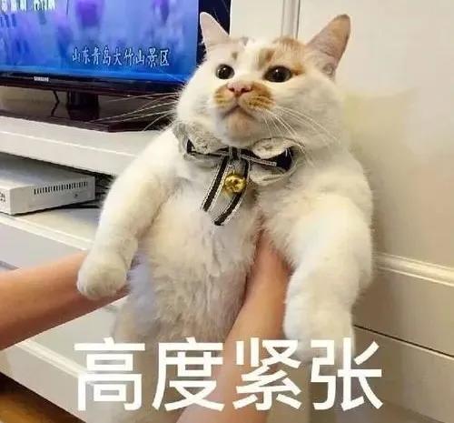 微信转账出现这两个提示千万别点,微信转账时怎样的提示需要注意