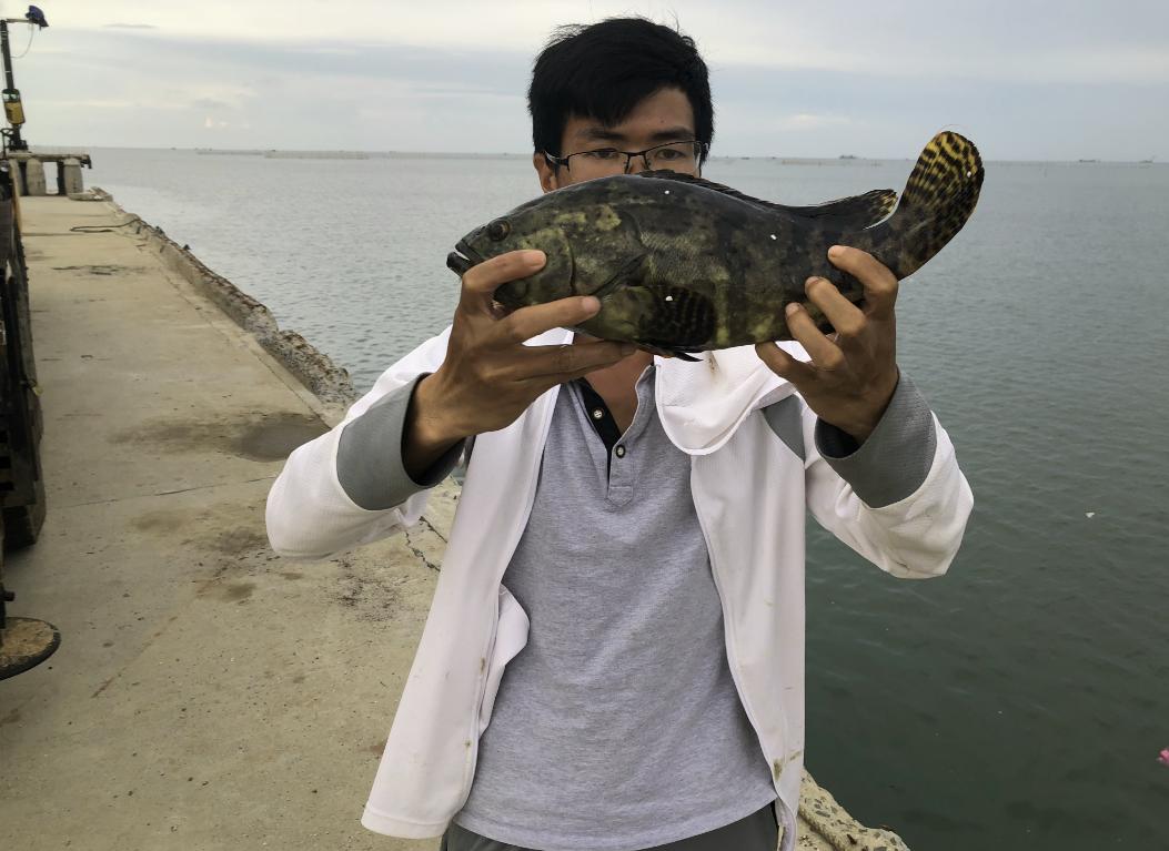 玩海钓是赚钱还是亏钱,海钓钓鱼该要多少钱