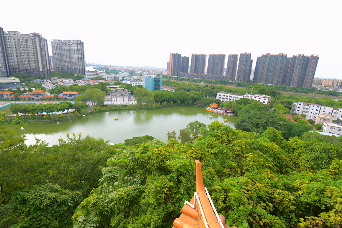 湿地公园菊展在哪,中山菊展一日游