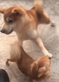 肾虚能通过健身改善吗,健身可以有效抵抗肾虚吗