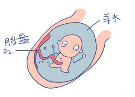 孕期羊水，你想知道的都在这里，八个作用证明它很重要