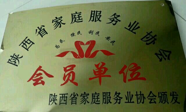 巧当家家政服务平台,巧当家店