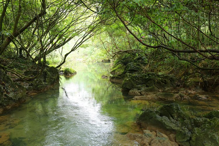 小七孔游记,小七孔五天游