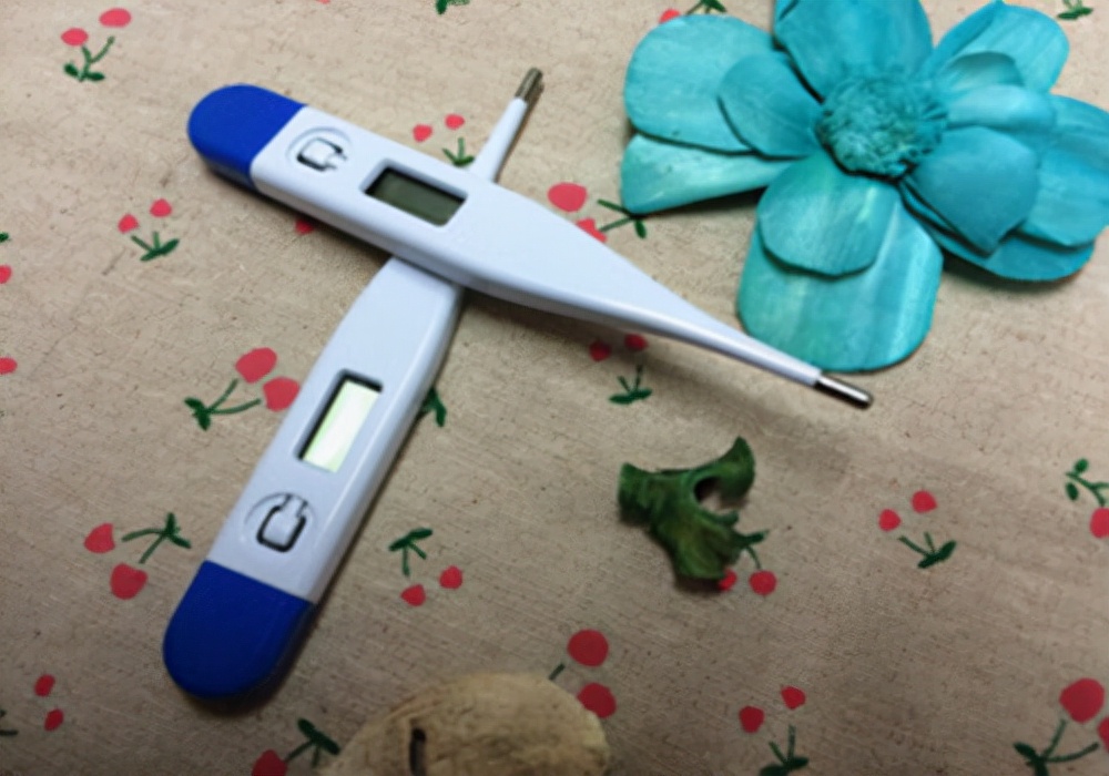 爱犬饲养注意事项,爱犬宠物护理