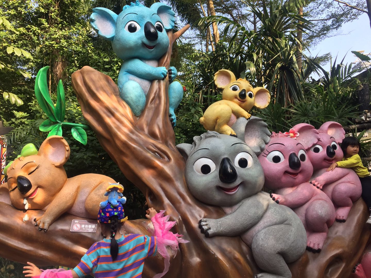 哪里有大熊猫动物园,哪些动物园值得看大熊猫