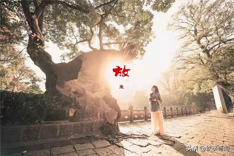 六种有灵性的动物不可杀,六大灵性的动物是什么