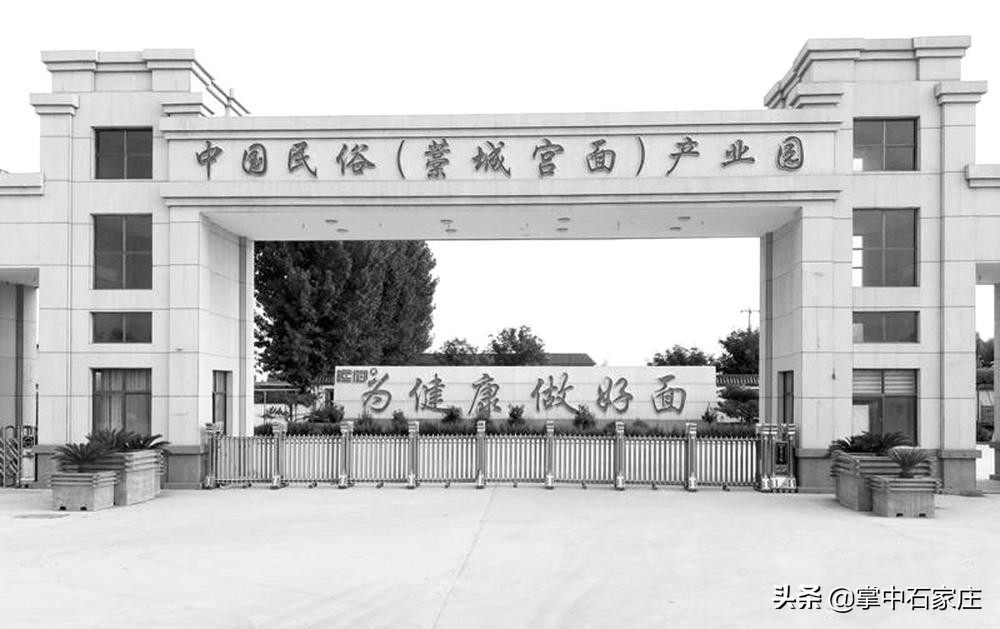 亲子采摘研学旅行,春播秋收万亩稻田研学之旅