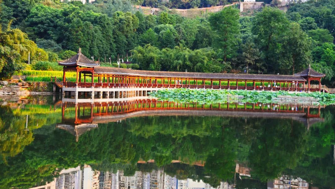 重庆华宇温德姆至尊豪华大酒店,华宇温德姆至尊豪廷大酒店