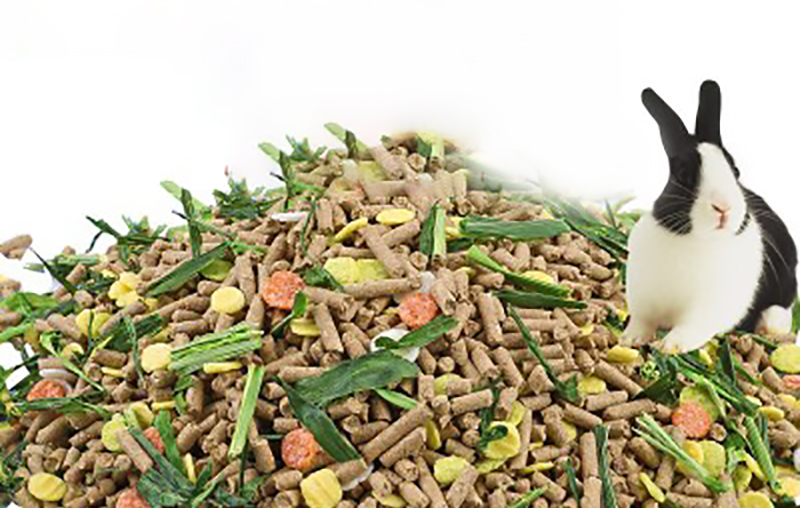 山东小伙靠养鹌鹑致富,农村大哥返乡创业养500只鸡