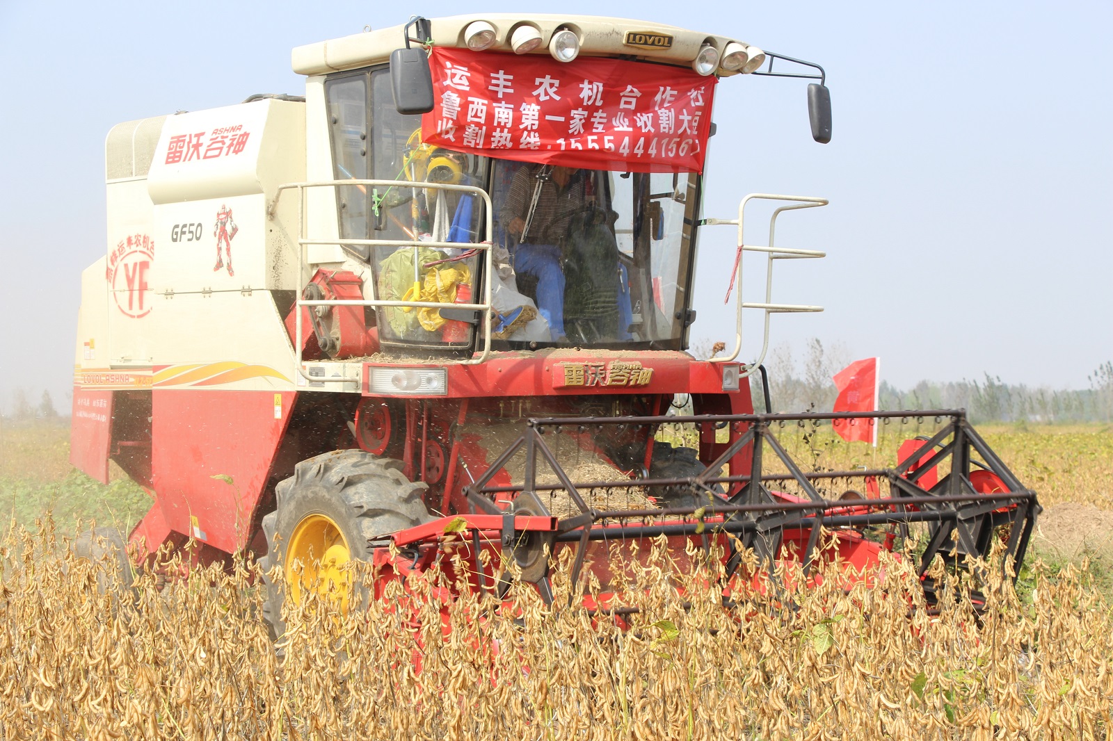 齐黄34大豆的亩产量是多少,齐黄34大豆亩用种量