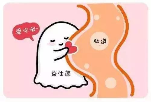 宝宝常见疾病大全与清晰护理策略,五种夏季儿童常见病该如何预防