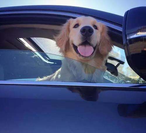 歪果仁说Ihaveathingforyou，可不是说给你东西