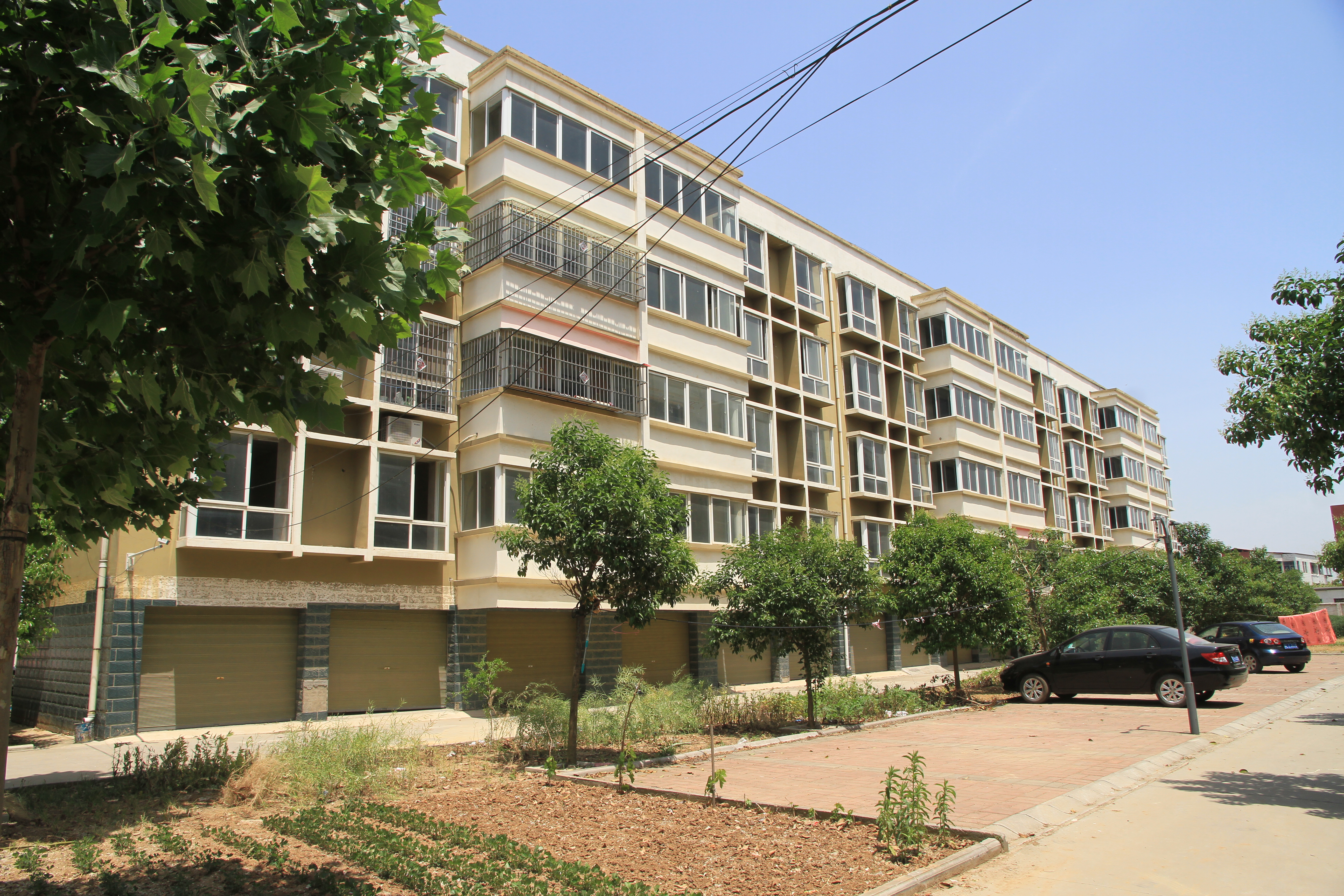 走进一百个美丽乡村第九站,走进100个美丽乡村东屯乡