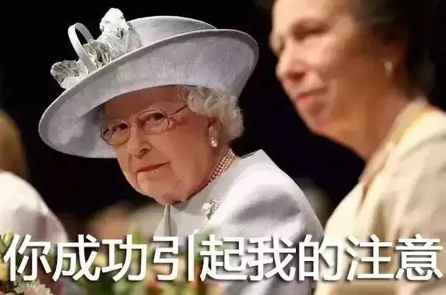 女王带小黑包旅行,女王随身包