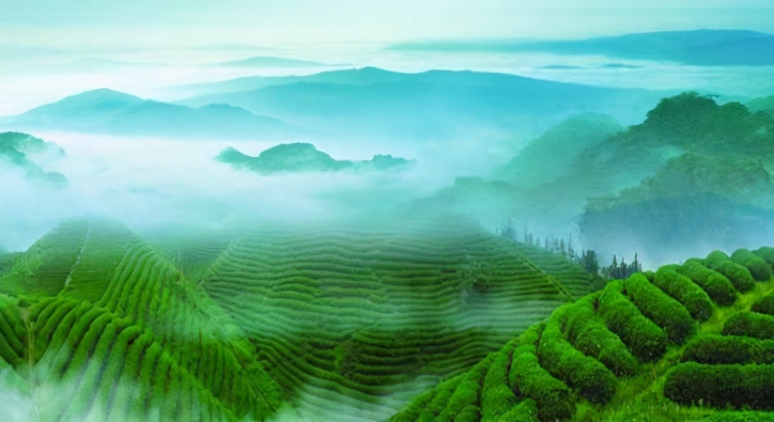 贵州遵义的a级景区有哪些,贵州遵义5a级旅游景点