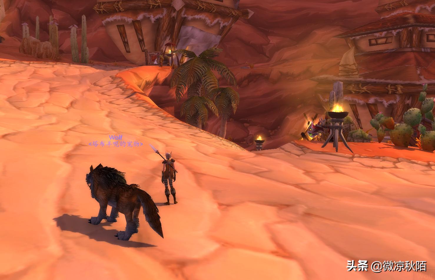 魔兽世界tbc鬼服感受,魔兽tbc转服能带多少金币