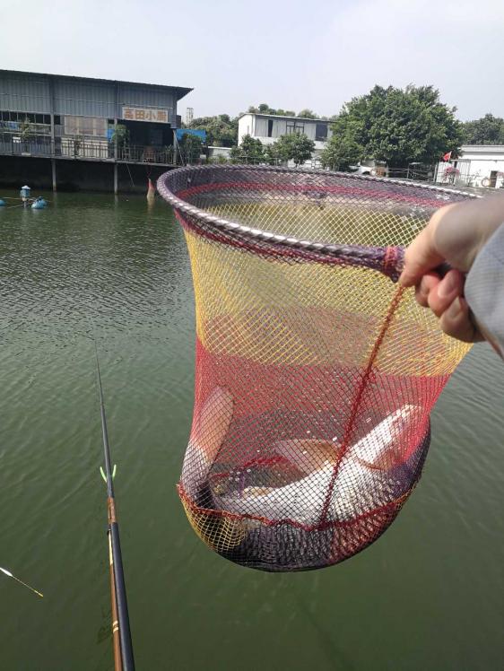 本汀金迦潘强硬弓测评,本汀金迦潘强弓鱼竿测评