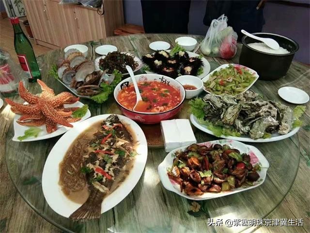 周末海边惬意的休闲生活,大钦岛俊俊渔家和兴达渔家哪个好