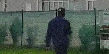 巴洛特利搞笑新闻事件,巴洛特利足球搞笑视频